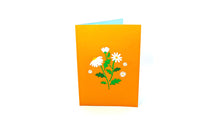 Daisy Flowers 3D Card