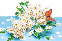 Daisy Flowers 3D Card
