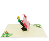Cockatoo 3d Pop Up Card