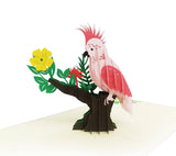 Cockatoo 3d Pop Up Card