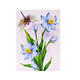 Dragonflies  3D Pop Up Card