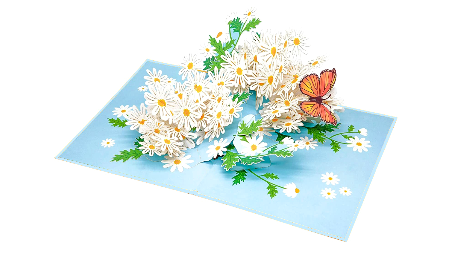 daisies1aaa_2048x.png?v=1699032257