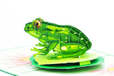 Frog pop-up card