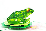 Frog pop-up card