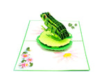 Frog pop-up card
