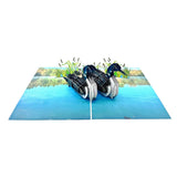 Loon Family 3D Card