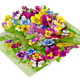 Happy Birthday Pop Up Card, Colorful Flowers and Butterflies, Beautiful, Elegant, Floral 3D Greeting Card