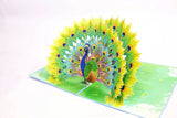 Peacock 3D Card