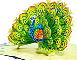 Peacock 3D Card