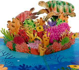 Turtle 3D Pop Up Card