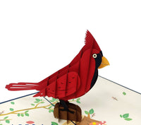 Cardinal 3D Pop Up Card
