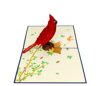 Cardinal 3D Pop Up Card