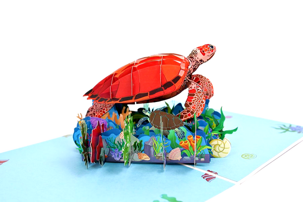 Turtle 3D Pop Up Card